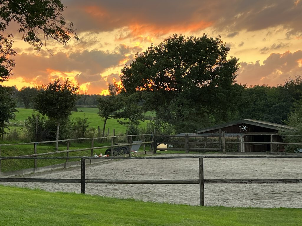 Wunderschöner Sonnenuntergang am Reitplatz